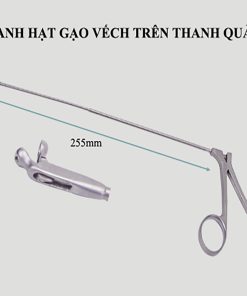Panh hạt gạo vếch trên thanh quản (Mã YS303.005,D2002)
